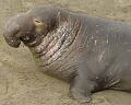 14.JPG